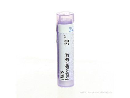 RHUS TOXICODENDRON 4 g