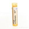 THUYA OCCIDENTALIS 4 g