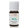 HANUS SILICA EUKALYPTUS 10 ml
