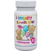 IMMUNITY Gummies bears + Echinacea - Clinical 60 ks
