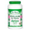 DR. POPOV PSYLLIUM DETOX 120 ks