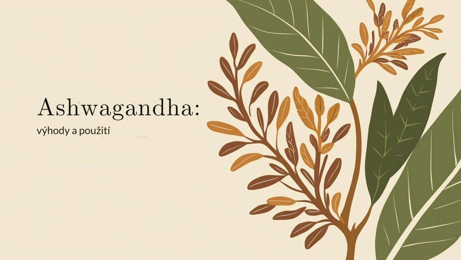 Ashwagandha: Ajurvédská bylina pro stres, spánek a vitalitu
