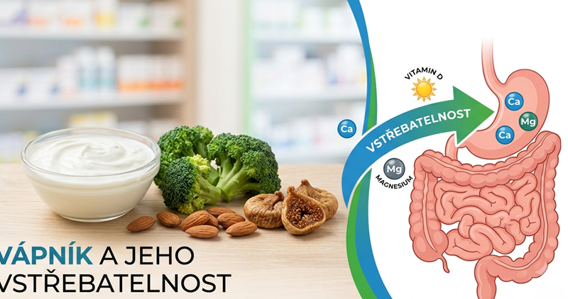 Proč na vápníku záleží – a proč ho ne vždy vstřebáme?