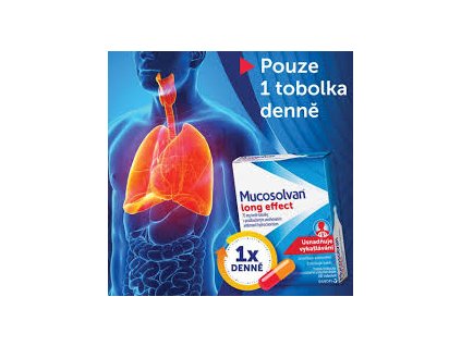 stažený soubor (1)