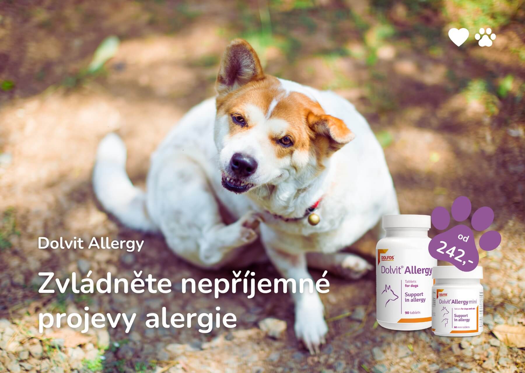 Dolvit Allergy - Zmírnění alergie