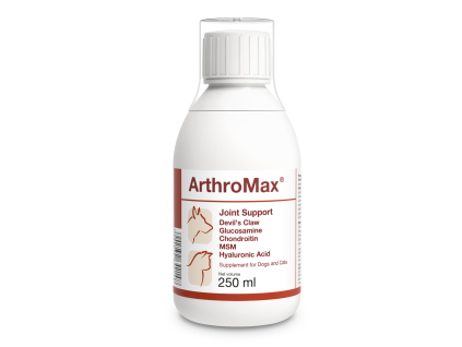 ArthroMax sirup 250ml