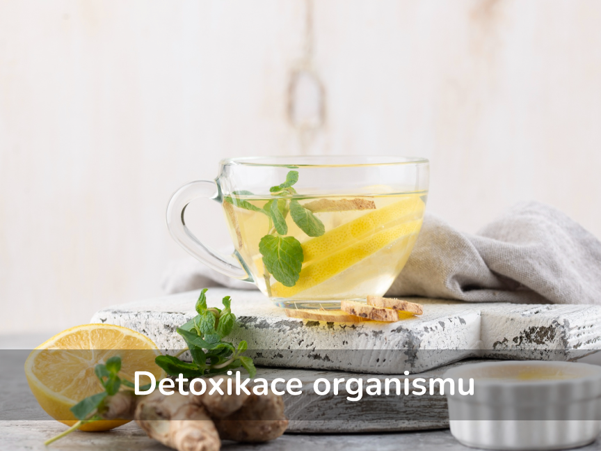 Detoxikace organismu