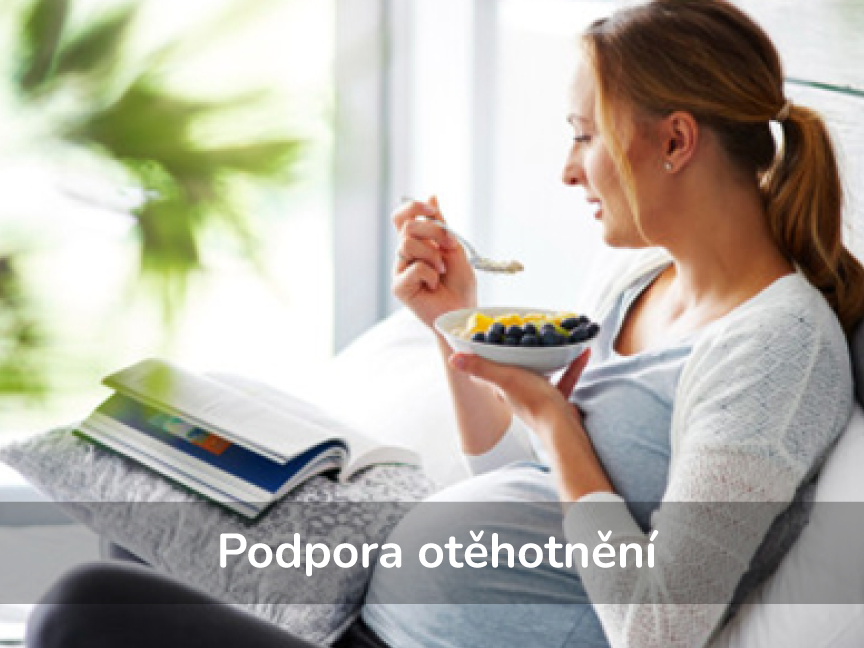 Podpora otěhotnění