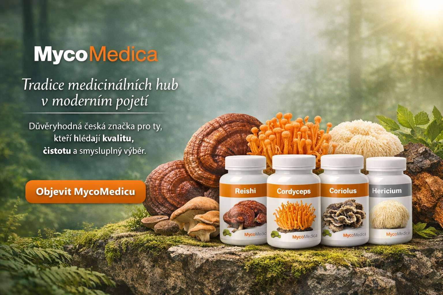 MycoMedica – Tradice medicinálních hub v moderním pojetí