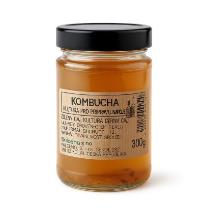 SCOBY násada pro domácí přípravu kombuchy.