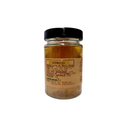 kombucha houba ziva kultura
