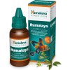 Rumalaya masážní olej 60 ml - k masáži v oblasti kloubů, svalů, šlach a zad. Lekarnaproradost.cz
