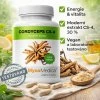 MycoMedica Cordyceps doplněk stravy