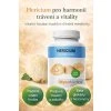 Hericium pro zdraví a vitalitu
