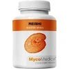 MycoMedica Reishi 90 kapslí