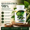 Resveratrol pro vitalitu a dlouhověkost