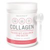 WoldoHealth Collagen – kolagen s kyselinou hyaluronovou a biotinem 500 g  Kyselina hyaluronová + biotin
