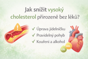 Jak snížit vysoký cholesterol přirozeně bez léků? Kompletní průvodce krok za krokem