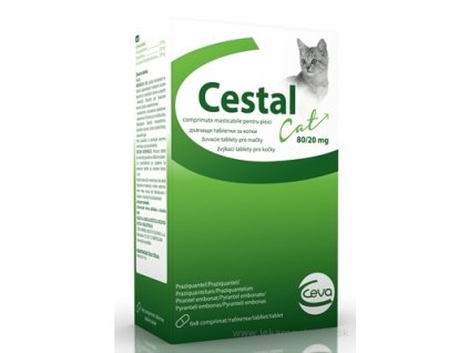 CESTAL CAT 80 mg/20 mg 6x8 ks