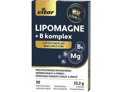 VITAR KINGS LIPOMAGNE + B komplex cps 30 ks