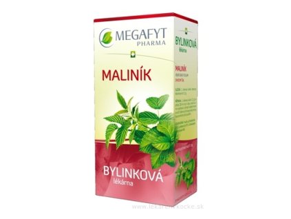 MEGAFYT Bylinková lekáreň OSTRUŽINA MALINOVÁ 20x1,5 g
