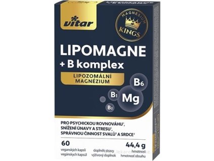 VITAR KINGS LIPOMAGNE + B komplex cps 60 ks