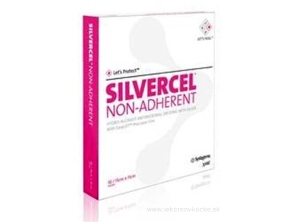 SILVERCEL 10 ks