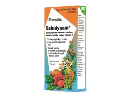 SALUS Floradix Saludynam 250 ml