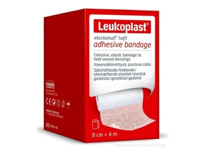 LEUKOPLAST ELASTOMULL HAFT 1 ks