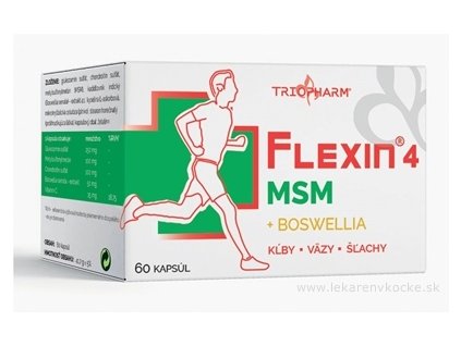 FLEXIN 4 MSM 60 ks