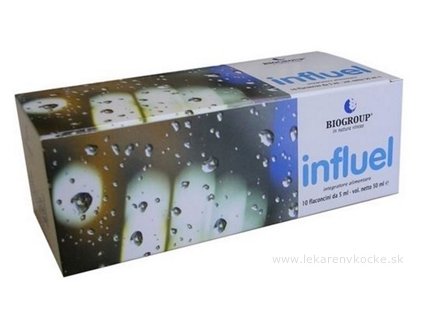 Influel 10 ks