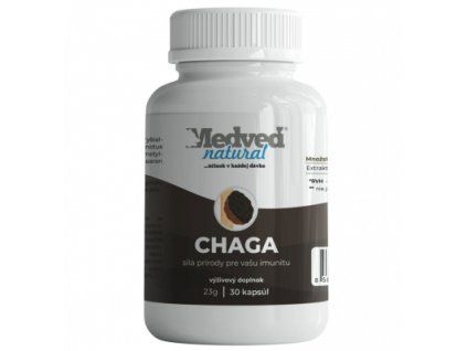 Medvěd natural Chaga 30 kapslí