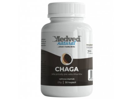 Medveď natural Chaga 30 kapsúl