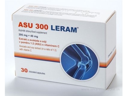 ASU 300 LERAM 30 ks