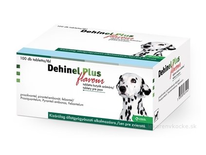 DEHINEL PLUS FLAVOUR 100 ks