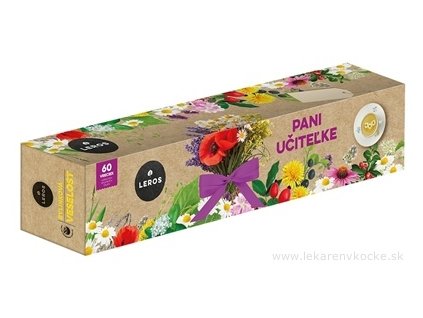 LEROS PANI UČITEĽKE