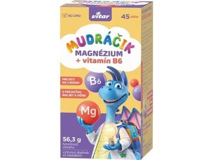 VITAR MUDRÁČIK Hořčík + B6 tablety 45 ks