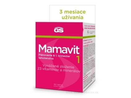 GS Mamavit 1, Plánovanie a 1. trimester 90 ks