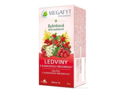 MEGAFYT Bylinková lekáreň OBLIČKY 20x1,5 g