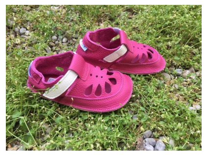 BABY BARE SUMMER WATERLILY C20