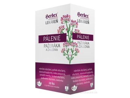 HERBEX Lekáreň PÁLENIE pažeráka a žalúdka 20x3 g