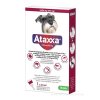 Ataxxa 1250 mg/250 mg (psy od 10 kg do 25 kg) 2,5 ml