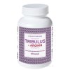 NATURVITA TRIBULUS + ARGINÍN 90 ks