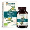 Himalaya Organický TRIBULUS Organic Tribulus cps 1x60 ks