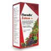 SALUS Floradix Železo + 500 ml