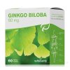 nefdesanté GINGKO BILOBA 60MG cps 6x10 (60 ks)