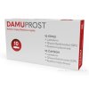 DAMUPROST 10 ks