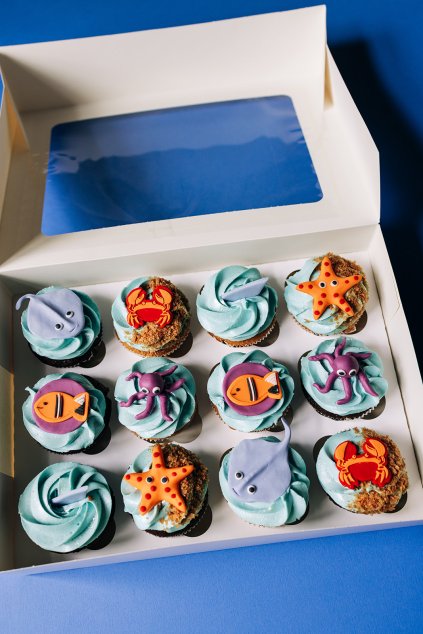 2024Cerven LelisCupcakes 26 websize