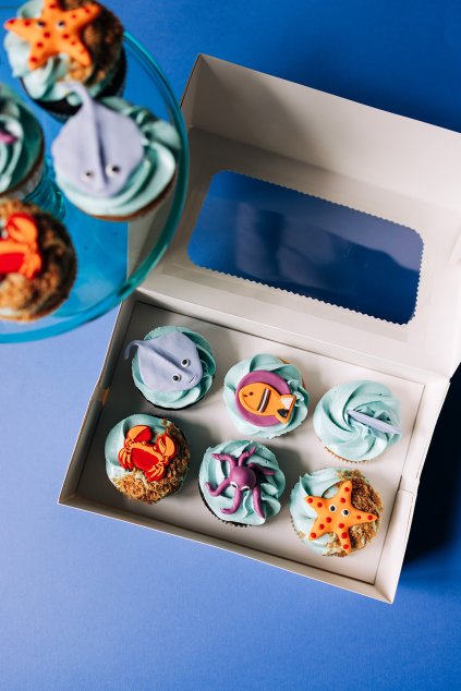 2024Cerven LelisCupcakes 18 websize