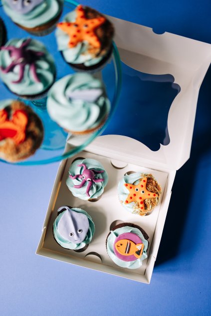 2024Cerven LelisCupcakes 13 websize